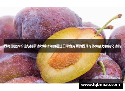 西梅的营养价值与健康功效解析如何通过日常食用西梅提升身体免疫力和消化功能